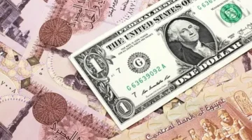 ارتفاع مفاجئ.. الدولار الأميركي يقاوم الجنيه المصري بعد خسائر متتالية